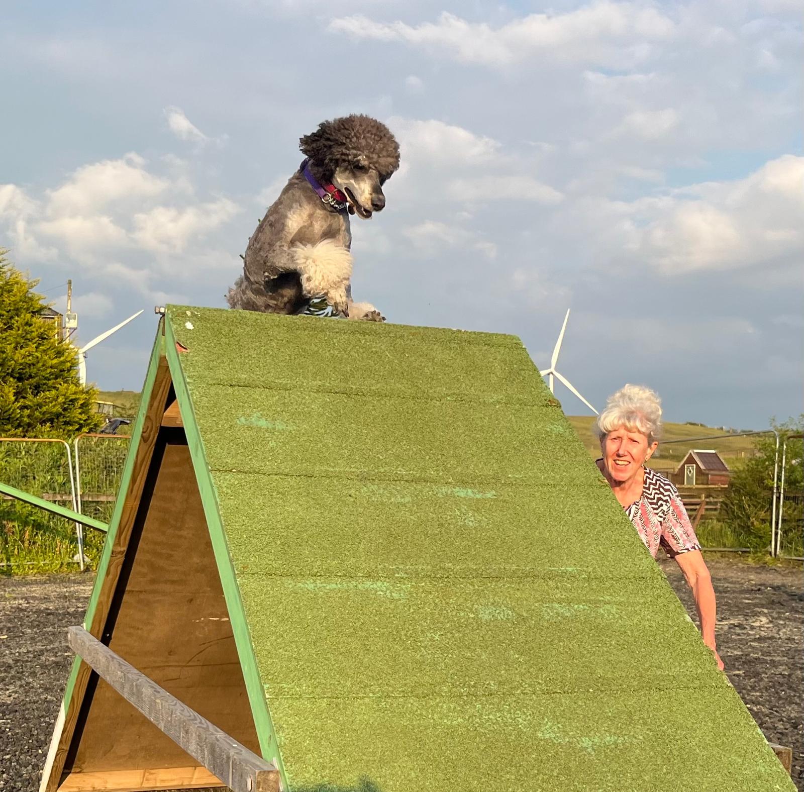 images/agility-june-2024/5.jpg#joomlaImage://local-images/agility-june-2024/5.jpg?width=1600&height=1576